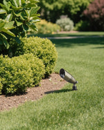 12V Solid Brass Landscape Spotlights for Garden – 3 Color Temps, 500 Lumens, Tree Uplighting, IP65, MR16, 2-6 Pack
