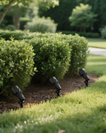 12V Waterproof LED Landscape Spotlights for Garden – Tree Uplighting, Driveway, IP65, Warm White, 4 or 8 Pack