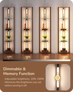 64" LED Corner Shelf Floor Lamp for Living Room – Glass Shelves, Dimmable, Display, Reading, Bedroom, 3 Wood Finishes