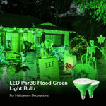 Green PAR38 LED Outdoor Flood Bulbs for Christmas Spotlight – 2 Pack, 18W Dimmable, E26, Flag Pole, Garden, Holiday Decor