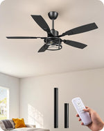 52" Farmhouse Caged Ceiling Fan with Light for Living Room – Black, DC Motor, 6 Speed, Dimmable Remote, Fandelier, Bedroom
