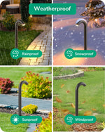12V Candy Cane LED Landscape Path Lights for Modern Garden – 6 Pack, Matte Black, IP65, Driveway, Walkway, Unique Outdoor