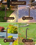 12V Candy Cane LED Landscape Path Lights for Garden – 6 Pack, Bronze, IP65, Decorative Driveway, Walkway, Unique Outdoor